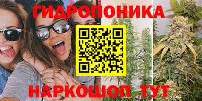 скорость Будённовск