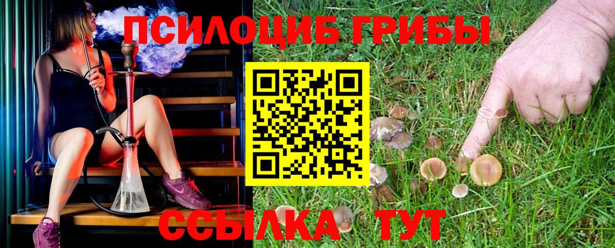 Галлюциногенные грибы GOLDEN TEACHER Петрозаводск