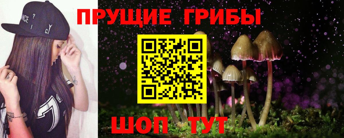 продажа наркотиков  Псилоцибиновые грибы Cubensis  Вход с VPN  Петрозаводск  Галлюциногенные грибы прущие грибы 
